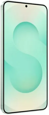 Samsung Galaxy S25 12+ 256Gb Mint (Snapdragon,2 nano-SIM/eSIM)